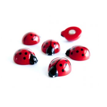 Magnet Ladybug - set of 6 pcs
