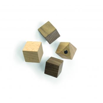 Magnet Wood Cube - set of 4 assorted