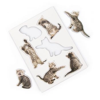 Mustard - Action Cat Magnets