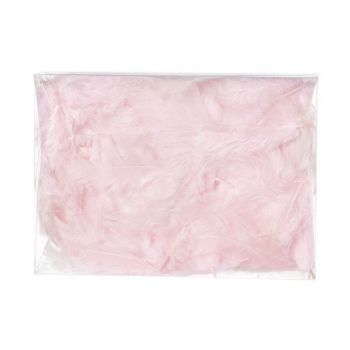 Cosy @ Home Deco Dons 5g Roze In Pvc Box
