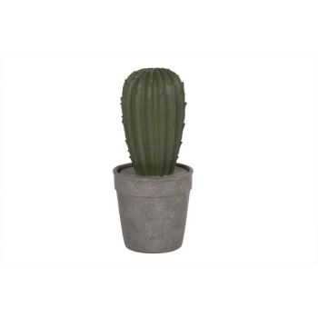 Cosy @ Home Cactus Groen In Grijze Pot D12xh26cm