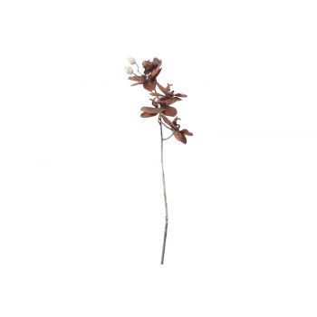 Cosy @ Home Tak Phalaenopsis Bruin 12x7xh66cm Kunsts