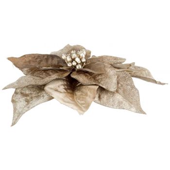 Cosy @ Home Clip Poinsettia Taupe 18x18xh4cm Kunstst