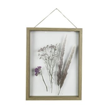 Cosy @ Home Kader Dried Flowers Natuur 30x2,5xh39,9c