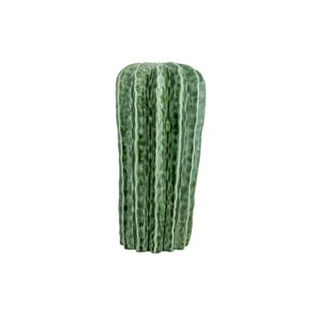 Cosy @ Home Cactus Glazing Groen 33x33xh33cm Rond Aa